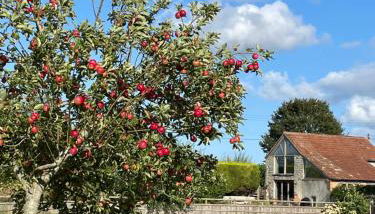 The Hayloft at Stathe Farm - Foto 1