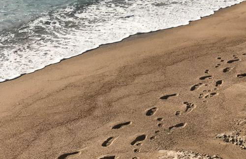 Top Floor Secret Garden, Cannes - Foto 17