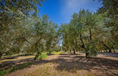 Torre Casciani - Foto 46