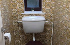 Y Fedw Wen - Foto 34