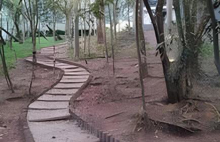 In Jardim Sul Street - Foto 47