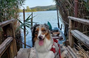 Sopra le nuvole - Foto 62