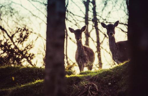 Tiny house at the heart of Le Madonie NP - Foto 20