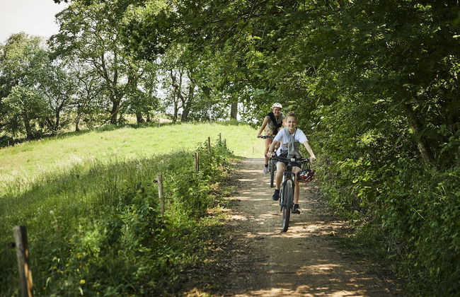 Arena Midt - Foto 21