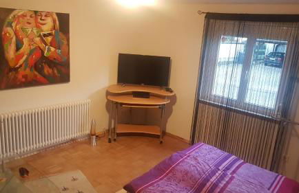 Fewo-Barbara, ruhige Lage, 15 min. zum Europapark - Foto 10