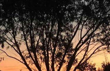 L’Eucalyptus Blanc, claire, paisible,fonctionnelle - Photo 18