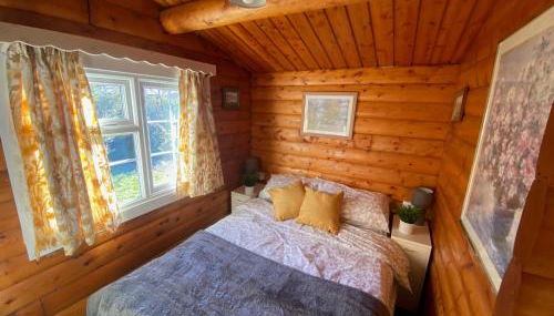 Cosy Log Cabin Snowdonia Eryri - Foto 3