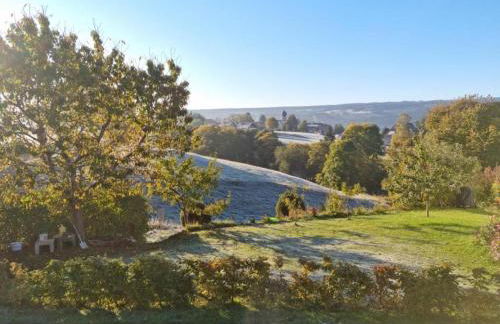 Ferienwohnung Schwarzwald-Alpenblick - Foto 61