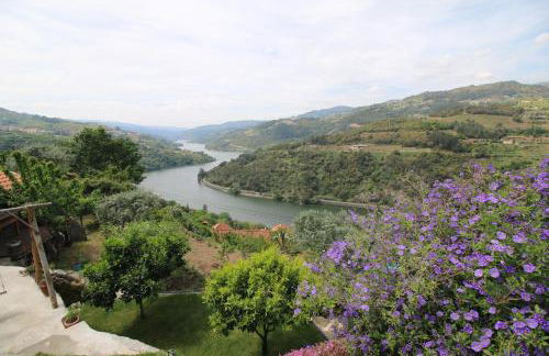 Douro Mesio Guest House - Foto 20