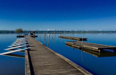 L Uni Vert d Azur gite 10 pers piscine et mini ferme proche océan - Foto 31