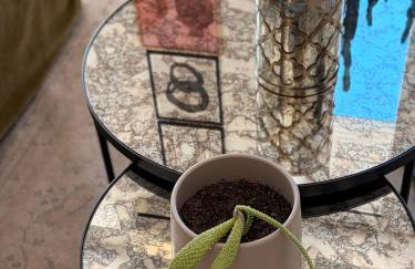 Appartement Design sur Vauban - Clim et Wifi - Foto 20