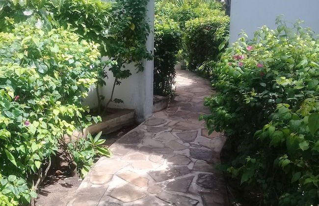 Lion Villa - Foto 28