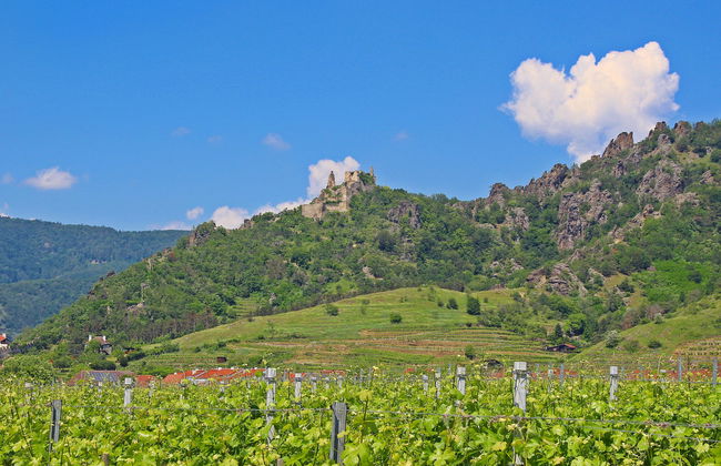 Haus Fries - Foto 35