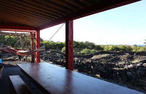 Adega Fraga - Photo 9