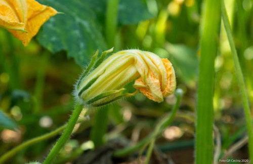 Piccolo Eden - Photo 20