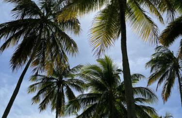 Maracajau Luxury Home - Villa-Mar-a-Villa - Foto 8