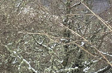 Casa do Terrado - Photo 45