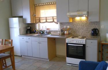 Stergios Apartment Evdilos Ikaria - Photo 8