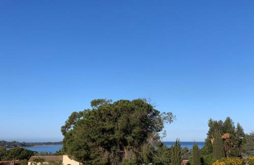 Villa Livia Porticcio piscine 500m plage - Foto 69