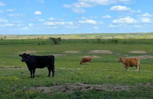 Sunrise, Mountain & Farm View - Heated Tub or Pool - Foto 20