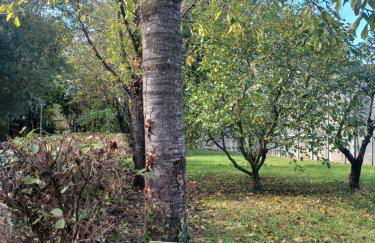 Il bosco sul Tevere Guest house - Foto 38