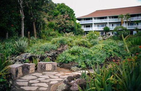Poipu Beach Condo with AC and Pool - Foto 23