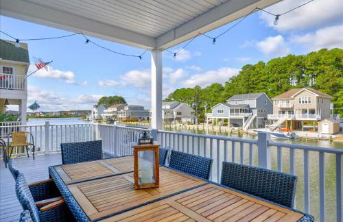 Coastal Crab - Foto 25