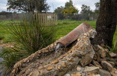 La Platea Rural - Foto 20