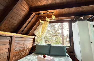 Casa na Árvore em Guarapuava - Foto 30