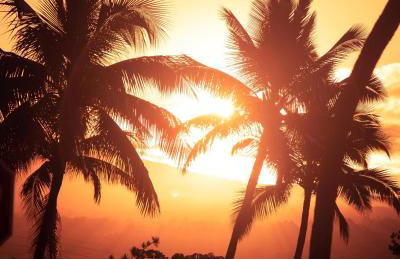 Hale Makani - Foto 40