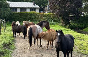 Ferienhof Riekeshof - Foto 37