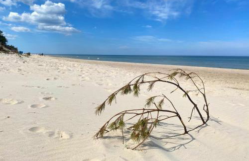 Ach Białogóra - Foto 35