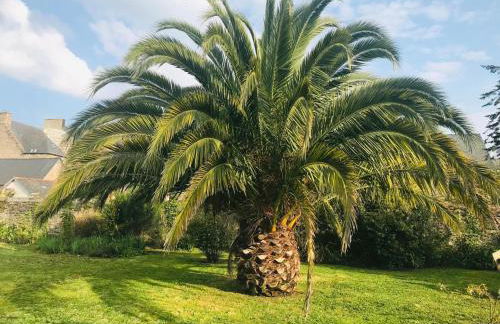 Hâvre De Paix Paimpol - Photo 13
