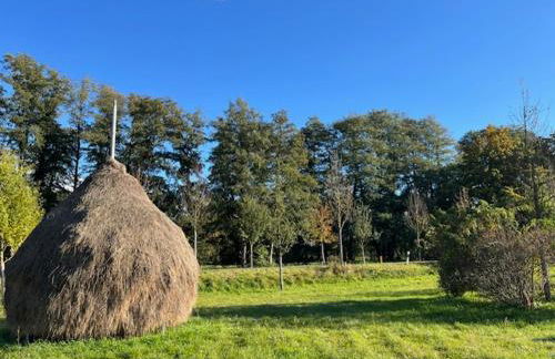 Spreewaldhaus Auszeit - Foto 10