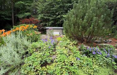 Beautiful House in the Woods, Huge Yard, Hot Tub - Foto 56