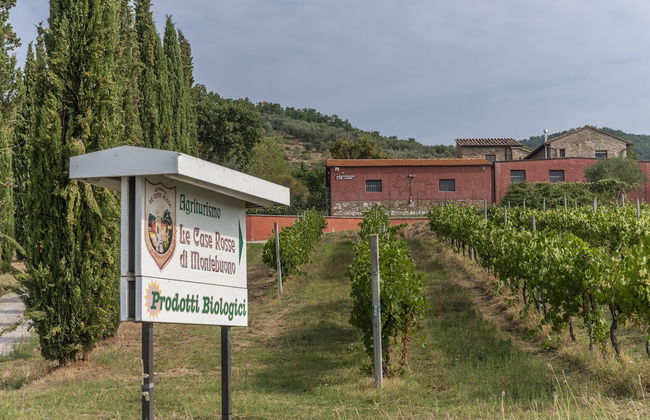 Agriturismo Le Case Rosse di Montebuono - Foto 34