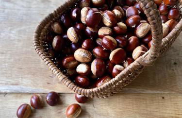 Gîte Dordogne Périgord - Foto 22