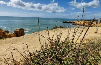 Baia Village - Galé - Albufeira - Foto 52