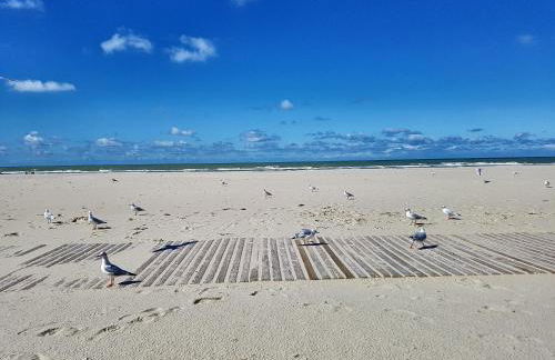 LES COQUILLAGES, 2 salles de bains, lits faits et tout à pied - Foto 38