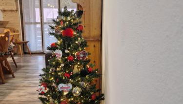 Il cuore di Cleo - Foto 2