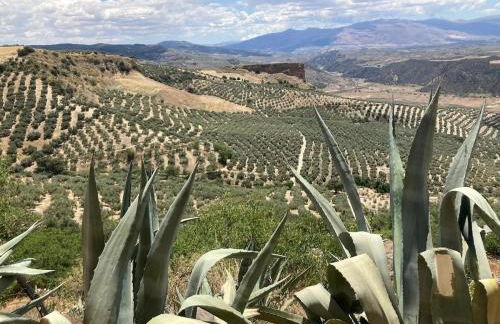 Dehesilla Olive Orchard Retreat - Foto 23