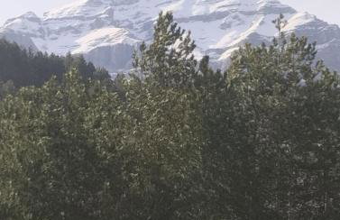 Lina's House Pramanta - Photo 23