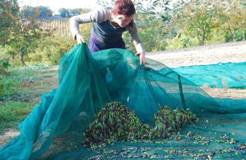 Agriturismo Fattoria Walden - Foto 42