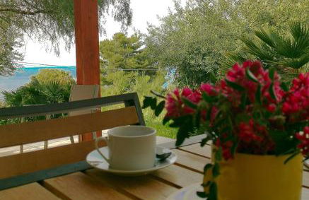 L'oasi nello Zingaro - Foto 10