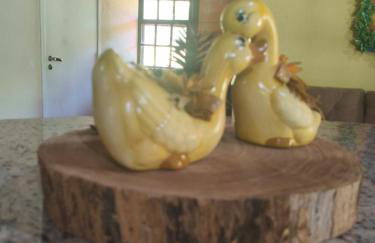 Casa Campo - Foto 22