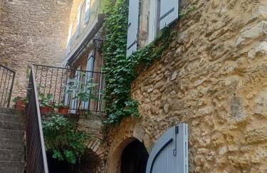Grande maison en pierre au coeur du village provençal du XIe siecle 10 personnes - Foto 1