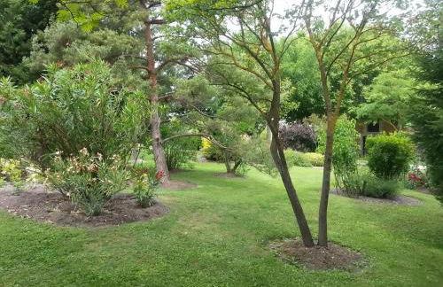 Reflet De PROVENCE dans cadre de verdure avec piscine chauffée - Photo 51
