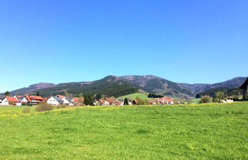 Gemütliches Haus im Herzen des Schwarzwaldes für bis zu 9 Personen - Foto 37