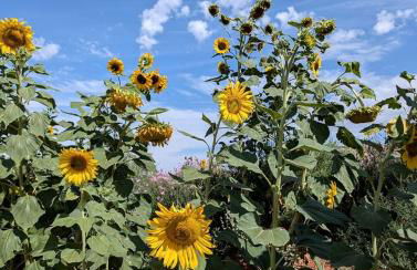 Idyllic Tiny Cabin Lovely for a Romantic Escape in Arizona - Foto 27