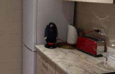 City apartment - Foto 25